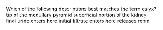 Which of the following descriptions best matches the term calyx? tip of the medullary pyramid superficial portion of the kidney final urine enters here initial filtrate enters here releases renin