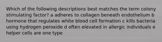 Which of the following descriptions best matches the term colony stimulating factor? a adheres to collagen beneath endothelium b hormone that regulates white blood cell formation c kills bacteria using hydrogen peroxide d often elevated in allergic individuals e helper cells are one type