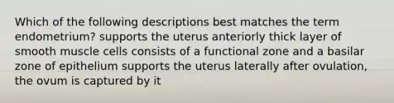 Which of the following descriptions best matches the term endometrium? supports the uterus anteriorly thick layer of smooth muscle cells consists of a functional zone and a basilar zone of epithelium supports the uterus laterally after ovulation, the ovum is captured by it