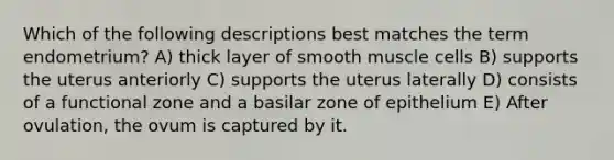 Which of the following descriptions best matches the term endometrium? A) thick layer of smooth muscle cells B) supports the uterus anteriorly C) supports the uterus laterally D) consists of a functional zone and a basilar zone of epithelium E) After ovulation, the ovum is captured by it.