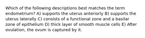 Which of the following descriptions best matches the term endometrium? A) supports the uterus anteriorly B) supports the uterus laterally C) consists of a functional zone and a basilar zone of epithelium D) thick layer of smooth muscle cells E) After ovulation, the ovum is captured by it.