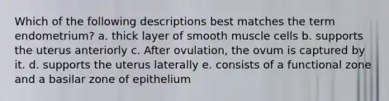 Which of the following descriptions best matches the term endometrium? a. thick layer of smooth muscle cells b. supports the uterus anteriorly c. After ovulation, the ovum is captured by it. d. supports the uterus laterally e. consists of a functional zone and a basilar zone of epithelium