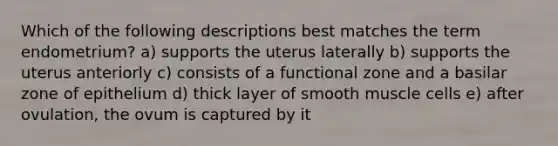 Which of the following descriptions best matches the term endometrium? a) supports the uterus laterally b) supports the uterus anteriorly c) consists of a functional zone and a basilar zone of epithelium d) thick layer of smooth muscle cells e) after ovulation, the ovum is captured by it