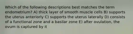 Which of the following descriptions best matches the term endometrium? A) thick layer of smooth muscle cells B) supports the uterus anteriorly C) supports the uterus laterally D) consists of a functional zone and a basilar zone E) after ovulation, the ovum is captured by it