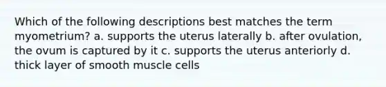 Which of the following descriptions best matches the term myometrium? a. supports the uterus laterally b. after ovulation, the ovum is captured by it c. supports the uterus anteriorly d. thick layer of smooth muscle cells