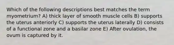 Which of the following descriptions best matches the term myometrium? A) thick layer of smooth muscle cells B) supports the uterus anteriorly C) supports the uterus laterally D) consists of a functional zone and a basilar zone E) After ovulation, the ovum is captured by it.