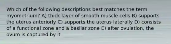 Which of the following descriptions best matches the term myometrium? A) thick layer of smooth muscle cells B) supports the uterus anteriorly C) supports the uterus laterally D) consists of a functional zone and a basilar zone E) after ovulation, the ovum is captured by it