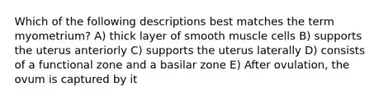 Which of the following descriptions best matches the term myometrium? A) thick layer of smooth muscle cells B) supports the uterus anteriorly C) supports the uterus laterally D) consists of a functional zone and a basilar zone E) After ovulation, the ovum is captured by it