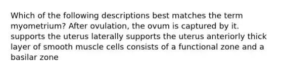 Which of the following descriptions best matches the term myometrium? After ovulation, the ovum is captured by it. supports the uterus laterally supports the uterus anteriorly thick layer of smooth muscle cells consists of a functional zone and a basilar zone