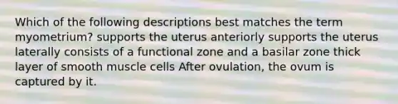 Which of the following descriptions best matches the term myometrium? supports the uterus anteriorly supports the uterus laterally consists of a functional zone and a basilar zone thick layer of smooth muscle cells After ovulation, the ovum is captured by it.