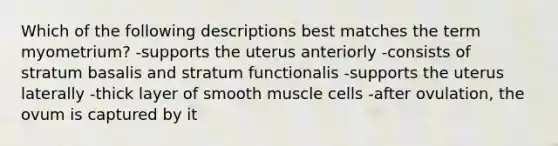 Which of the following descriptions best matches the term myometrium? -supports the uterus anteriorly -consists of stratum basalis and stratum functionalis -supports the uterus laterally -thick layer of smooth muscle cells -after ovulation, the ovum is captured by it