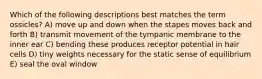 Which of the following descriptions best matches the term ossicles? A) move up and down when the stapes moves back and forth B) transmit movement of the tympanic membrane to the inner ear C) bending these produces receptor potential in hair cells D) tiny weights necessary for the static sense of equilibrium E) seal the oval window