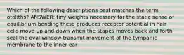 Which of the following descriptions best matches the term otoliths? ANSWER: tiny weights necessary for the static sense of equilibrium bending these produces receptor potential in hair cells move up and down when the stapes moves back and forth seal the oval window transmit movement of the tympanic membrane to the inner ear