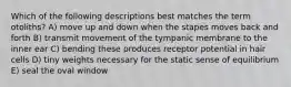 Which of the following descriptions best matches the term otoliths? A) move up and down when the stapes moves back and forth B) transmit movement of the tympanic membrane to the inner ear C) bending these produces receptor potential in hair cells D) tiny weights necessary for the static sense of equilibrium E) seal the oval window