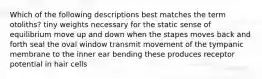 Which of the following descriptions best matches the term otoliths? tiny weights necessary for the static sense of equilibrium move up and down when the stapes moves back and forth seal the oval window transmit movement of the tympanic membrane to the inner ear bending these produces receptor potential in hair cells