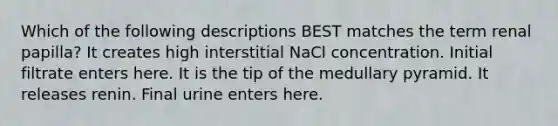 Which of the following descriptions BEST matches the term renal papilla? It creates high interstitial NaCl concentration. Initial filtrate enters here. It is the tip of the medullary pyramid. It releases renin. Final urine enters here.