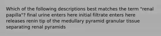 Which of the following descriptions best matches the term "renal papilla"? final urine enters here initial filtrate enters here releases renin tip of the medullary pyramid granular tissue separating renal pyramids