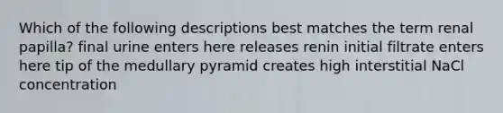 Which of the following descriptions best matches the term renal papilla? final urine enters here releases renin initial filtrate enters here tip of the medullary pyramid creates high interstitial NaCl concentration