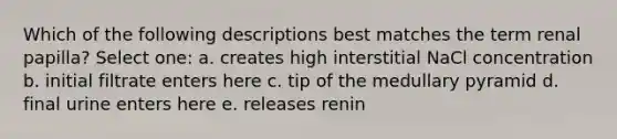 Which of the following descriptions best matches the term renal papilla? Select one: a. creates high interstitial NaCl concentration b. initial filtrate enters here c. tip of the medullary pyramid d. final urine enters here e. releases renin