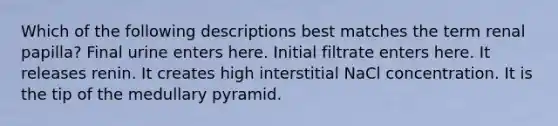 Which of the following descriptions best matches the term renal papilla? Final urine enters here. Initial filtrate enters here. It releases renin. It creates high interstitial NaCl concentration. It is the tip of the medullary pyramid.