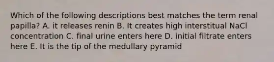 Which of the following descriptions best matches the term renal papilla? A. it releases renin B. It creates high interstitual NaCl concentration C. final urine enters here D. initial filtrate enters here E. It is the tip of the medullary pyramid