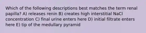 Which of the following descriptions best matches the term renal papilla? A) releases renin B) creates high interstitial NaCl concentration C) final urine enters here D) initial filtrate enters here E) tip of the medullary pyramid