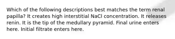 Which of the following descriptions best matches the term renal papilla? It creates high interstitial NaCl concentration. It releases renin. It is the tip of the medullary pyramid. Final urine enters here. Initial filtrate enters here.