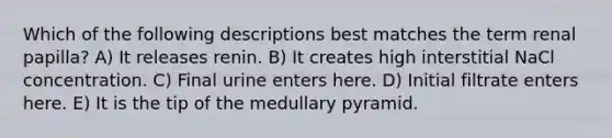 Which of the following descriptions best matches the term renal papilla? A) It releases renin. B) It creates high interstitial NaCl concentration. C) Final urine enters here. D) Initial filtrate enters here. E) It is the tip of the medullary pyramid.