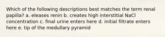 Which of the following descriptions best matches the term renal papilla? a. eleases renin b. creates high interstitial NaCl concentration c. final urine enters here d. initial filtrate enters here e. tip of the medullary pyramid