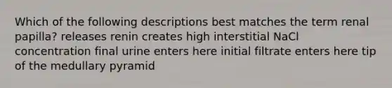 Which of the following descriptions best matches the term renal papilla? releases renin creates high interstitial NaCl concentration final urine enters here initial filtrate enters here tip of the medullary pyramid