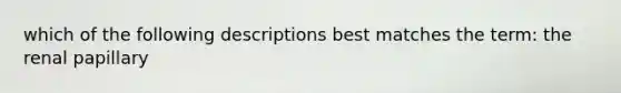 which of the following descriptions best matches the term: the renal papillary