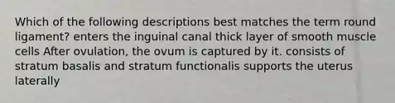 Which of the following descriptions best matches the term round ligament? enters the inguinal canal thick layer of smooth muscle cells After ovulation, the ovum is captured by it. consists of stratum basalis and stratum functionalis supports the uterus laterally