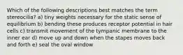 Which of the following descriptions best matches the term stereocilia? a) tiny weights necessary for the static sense of equilibrium b) bending these produces receptor potential in hair cells c) transmit movement of the tympanic membrane to the inner ear d) move up and down when the stapes moves back and forth e) seal the oval window