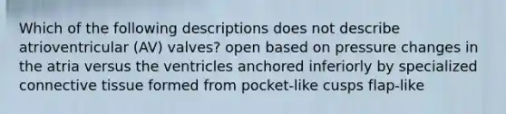 Which of the following descriptions does not describe atrioventricular (AV) valves? open based on pressure changes in the atria versus the ventricles anchored inferiorly by specialized connective tissue formed from pocket-like cusps flap-like