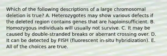 Which of the following descriptions of a large chromosomal deletion is true? A. Heterozygotes may show various defects if the deleted region contains genes that are haploinsufficient. B. Homozygous individuals will usually not survive. C. It may be caused by double-stranded breaks or aberrant crossing over. D. It can be detected by FISH (fluorescent in-situ hybridization). E. All of the choices are true.