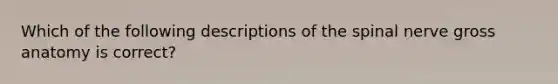 Which of the following descriptions of the spinal nerve gross anatomy is correct?