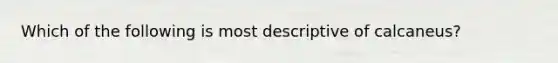 Which of the following is most descriptive of calcaneus?