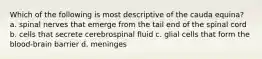 Which of the following is most descriptive of the cauda equina? a. spinal nerves that emerge from the tail end of the spinal cord b. cells that secrete cerebrospinal fluid c. glial cells that form the blood-brain barrier d. meninges