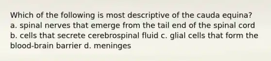 Which of the following is most descriptive of the cauda equina? a. spinal nerves that emerge from the tail end of the spinal cord b. cells that secrete cerebrospinal fluid c. glial cells that form the blood-brain barrier d. meninges