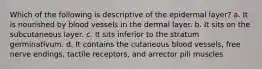 Which of the following is descriptive of the epidermal layer? a. It is nourished by blood vessels in the dermal layer. b. It sits on the subcutaneous layer. c. It sits inferior to the stratum germinativum. d. It contains the cutaneous blood vessels, free nerve endings, tactile receptors, and arrector pili muscles