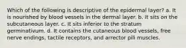 Which of the following is descriptive of the epidermal layer? a. It is nourished by blood vessels in the dermal layer. b. It sits on the subcutaneous layer. c. It sits inferior to the stratum germinativum. d. It contains the cutaneous blood vessels, free nerve endings, tactile receptors, and arrector pili muscles.