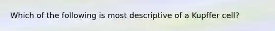 Which of the following is most descriptive of a Kupffer cell?