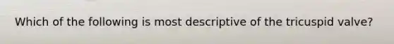 Which of the following is most descriptive of the tricuspid valve?