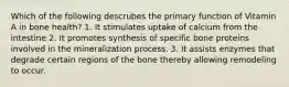 Which of the following descrubes the primary function of Vitamin A in bone health? 1. It stimulates uptake of calcium from the intestine 2. It promotes synthesis of specific bone proteins involved in the mineralization process. 3. It assists enzymes that degrade certain regions of the bone thereby allowing remodeling to occur.