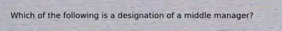 Which of the following is a designation of a middle manager?​