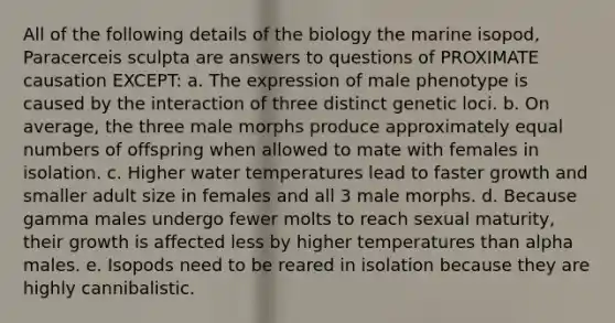 All of the following details of the biology the marine isopod, Paracerceis sculpta are answers to questions of PROXIMATE causation EXCEPT: a. The expression of male phenotype is caused by the interaction of three distinct genetic loci. b. On average, the three male morphs produce approximately equal numbers of offspring when allowed to mate with females in isolation. c. Higher water temperatures lead to faster growth and smaller adult size in females and all 3 male morphs. d. Because gamma males undergo fewer molts to reach sexual maturity, their growth is affected less by higher temperatures than alpha males. e. Isopods need to be reared in isolation because they are highly cannibalistic.