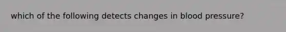 which of the following detects changes in blood pressure?