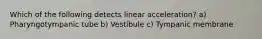 Which of the following detects linear acceleration? a) Pharyngotympanic tube b) Vestibule c) Tympanic membrane