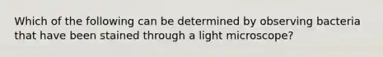 Which of the following can be determined by observing bacteria that have been stained through a light microscope?