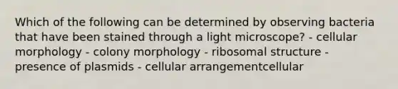 Which of the following can be determined by observing bacteria that have been stained through a light microscope? - cellular morphology - colony morphology - ribosomal structure - presence of plasmids - cellular arrangementcellular